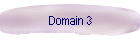 Domain 3