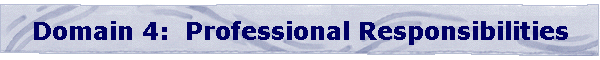 Domain 4:  Professional Responsibilities
